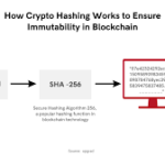 The Role of Immutability in Blockchain Security: Why It Matters