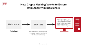The Role of Immutability in Blockchain Security: Why It Matters